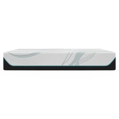 Adapt 2.0 Medium Mattress