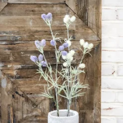 Assorted Stems