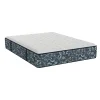 Bladen Firm Mattress