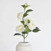 Camellia Flower Stems