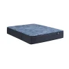 Delani Dreams Firm Perfect Sleeper Mattress