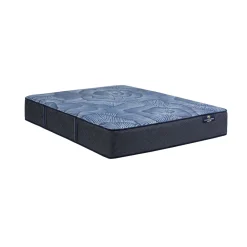 Delani Dreams Firm Perfect Sleeper Mattress