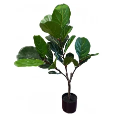 Fiddle Leaf Tree - 35 Inches