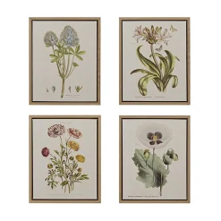Herbal Botany (Set of 4)