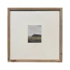 Open Fields II
