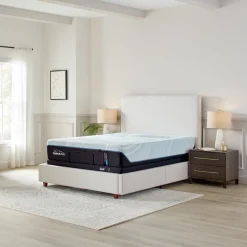 ProAdapt Soft Mattress