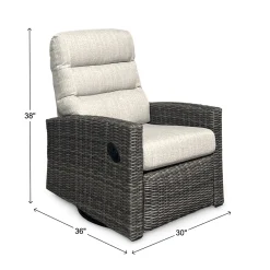 Sadie Outdoor Swivel Glider Recliner