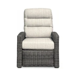 Sadie Outdoor Swivel Glider Recliner