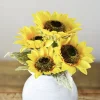 Sunflower Stem